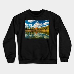 * Crewneck Sweatshirt